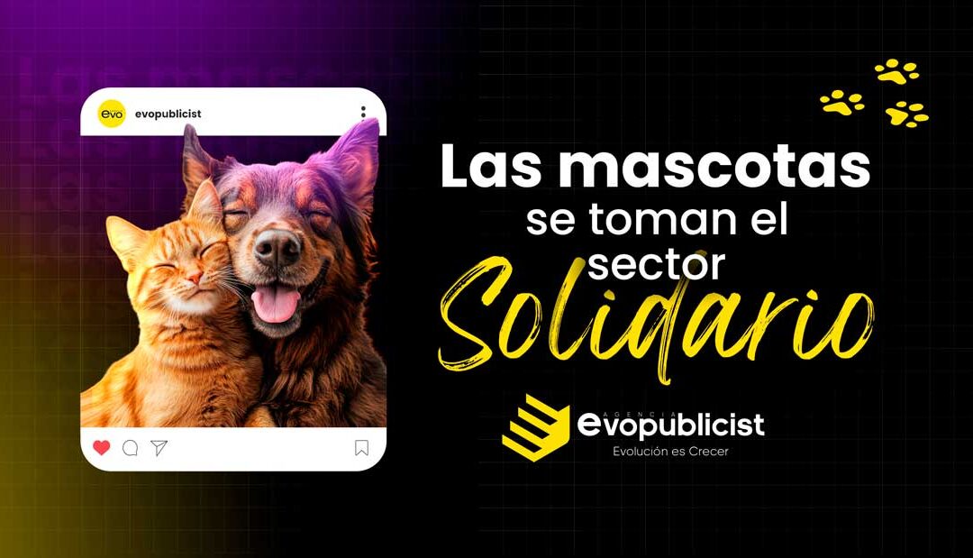 Las mascotas y su impacto en el sector solidario